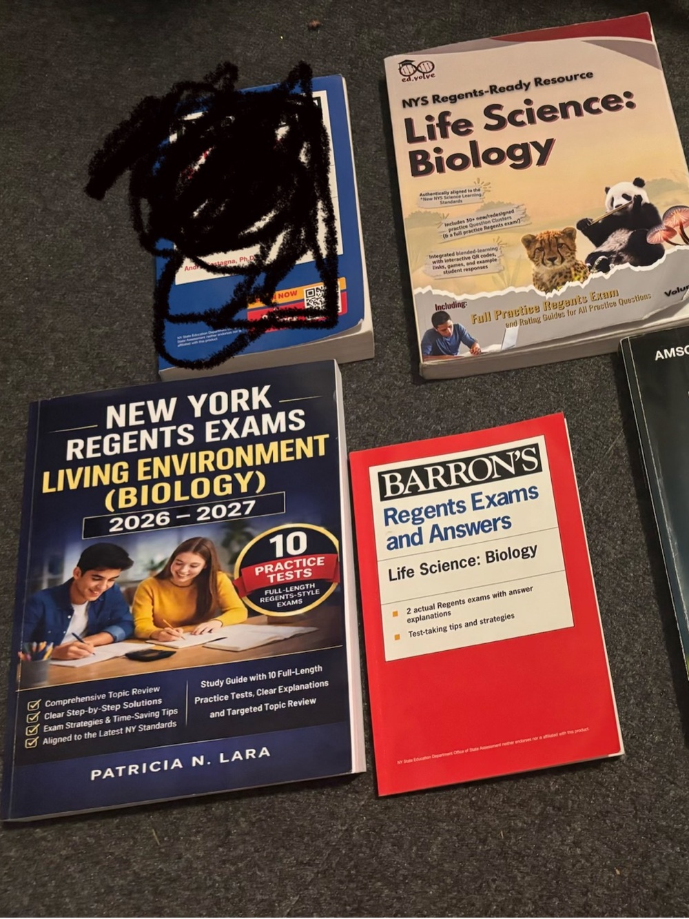 3 New York Regents Exam prep books for Life Science: Biology - lightly used